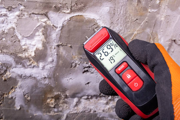 Best Post-Flood Mold Remediation in Maricopa, CA